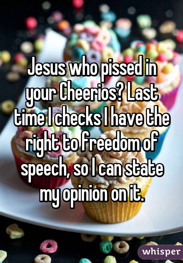 Jesus who pissed in your Cheerios? Last time I checks I have the right to freedom of speech, so I can state my opinion on it.