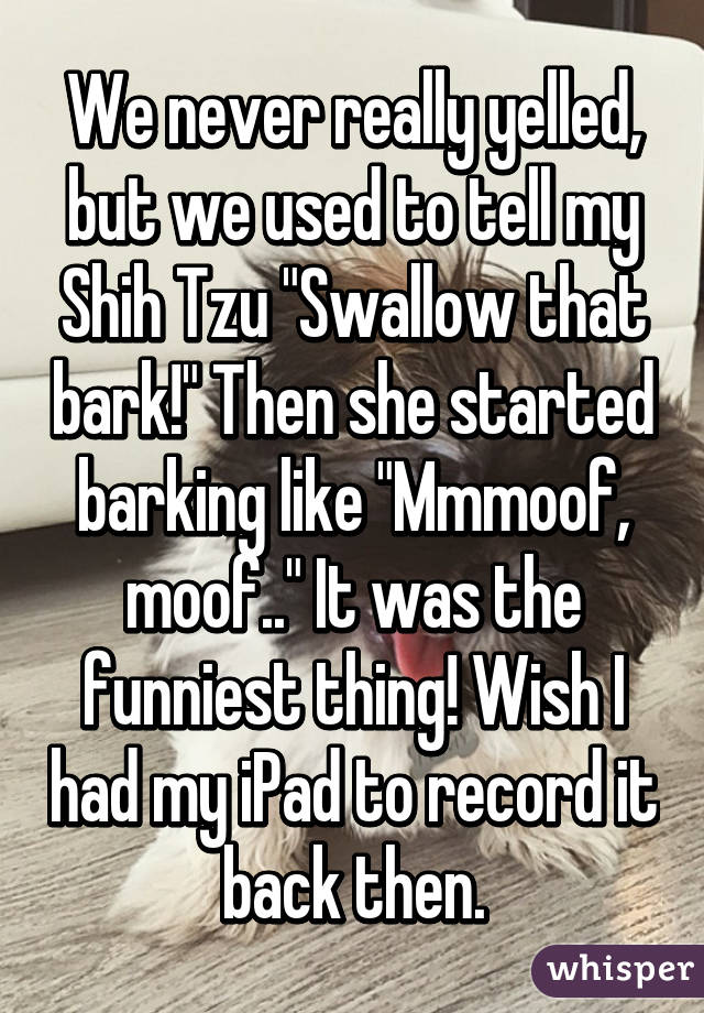 We never really yelled, but we used to tell my Shih Tzu "Swallow that bark!" Then she started barking like "Mmmoof, moof.." It was the funniest thing! Wish I had my iPad to record it back then.