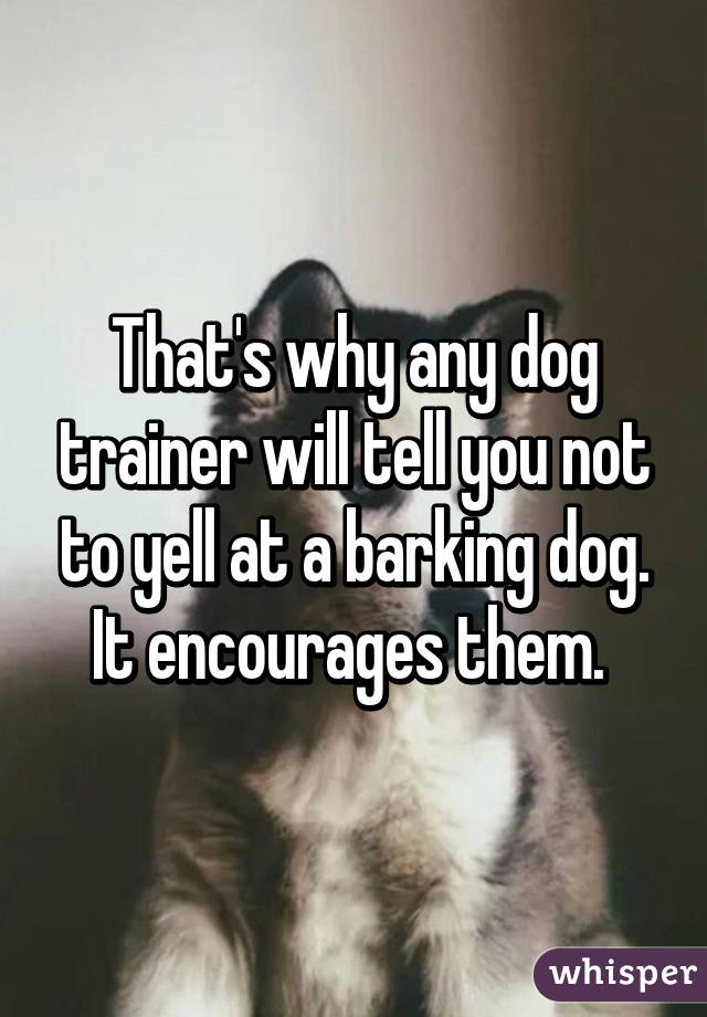 That's why any dog trainer will tell you not to yell at a barking dog. It encourages them. 