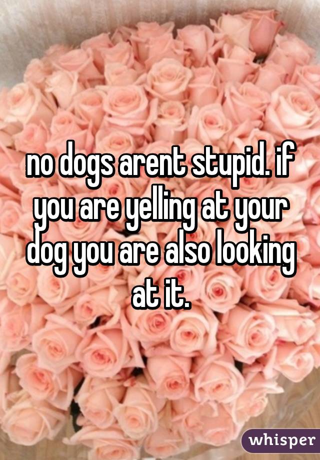 no dogs arent stupid. if you are yelling at your dog you are also looking at it.