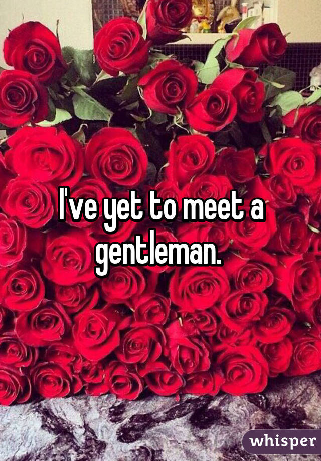 I've yet to meet a gentleman. 