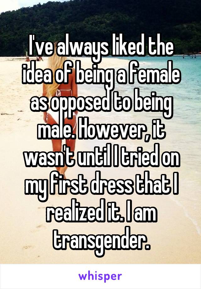I've always liked the idea of being a female as opposed to being male. However, it wasn't until I tried on my first dress that I realized it. I am transgender.
