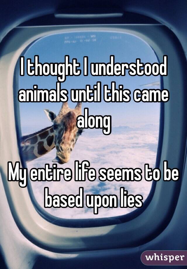 I thought I understood animals until this came along 

My entire life seems to be based upon lies 