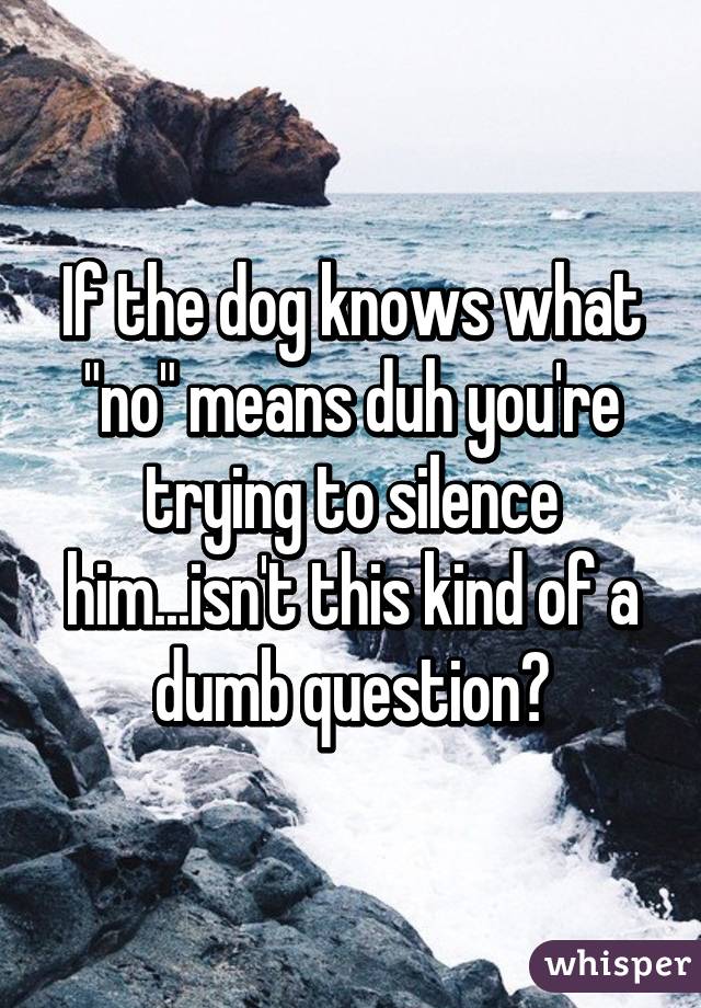If the dog knows what "no" means duh you're trying to silence him...isn't this kind of a dumb question?