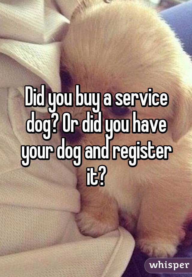 Did you buy a service dog? Or did you have your dog and register it?