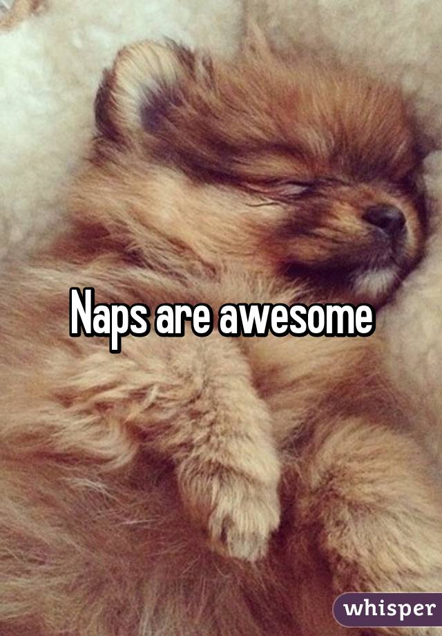 Naps are awesome
