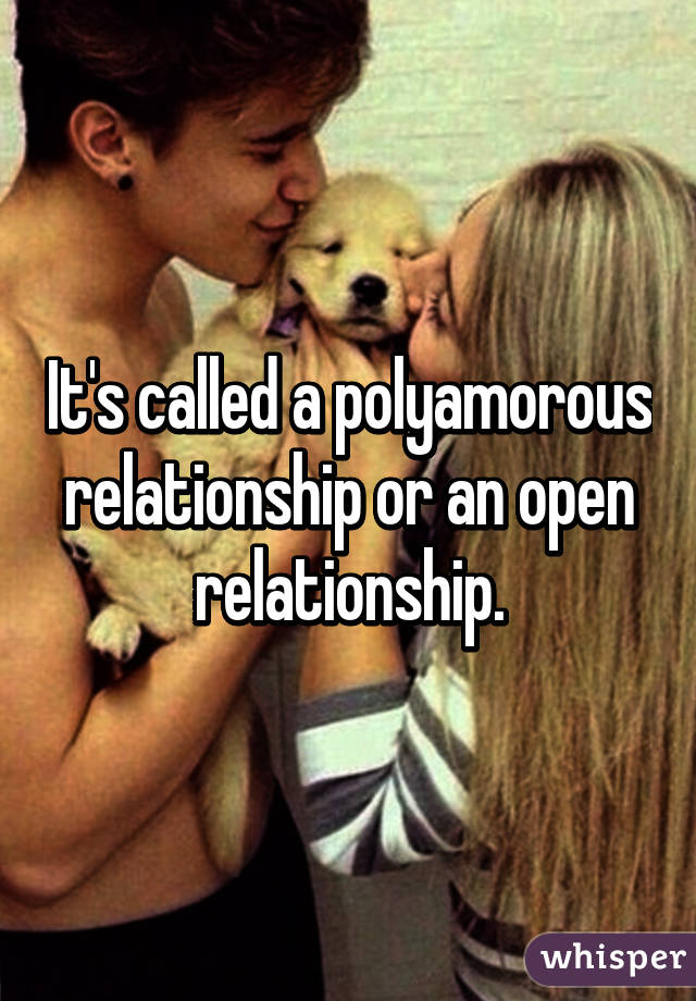 It's called a polyamorous relationship or an open relationship.