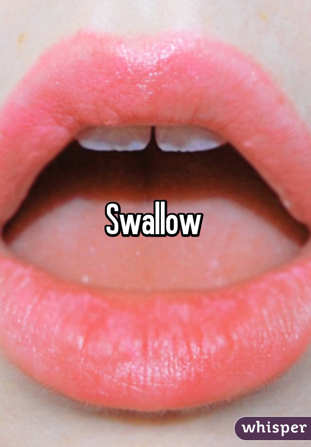 Swallow 