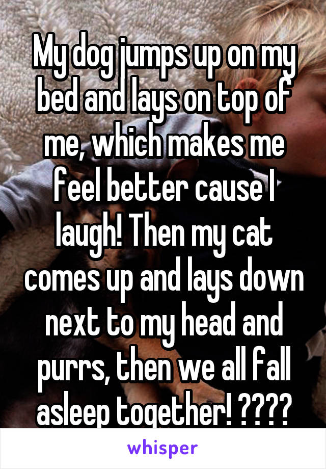 My dog jumps up on my bed and lays on top of me, which makes me feel better cause I laugh! Then my cat comes up and lays down next to my head and purrs, then we all fall asleep together! 😍🐶🐱😴