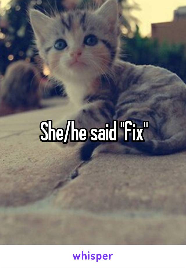 She/he said "fix"