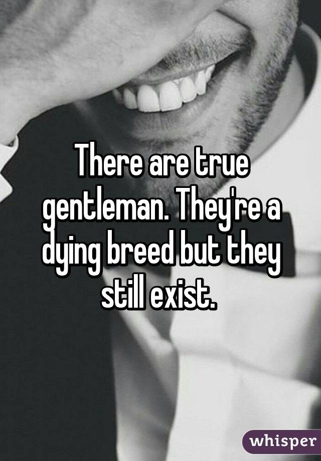 There are true gentleman. They're a dying breed but they still exist. 