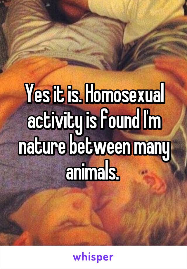 Yes it is. Homosexual activity is found I'm nature between many animals. 