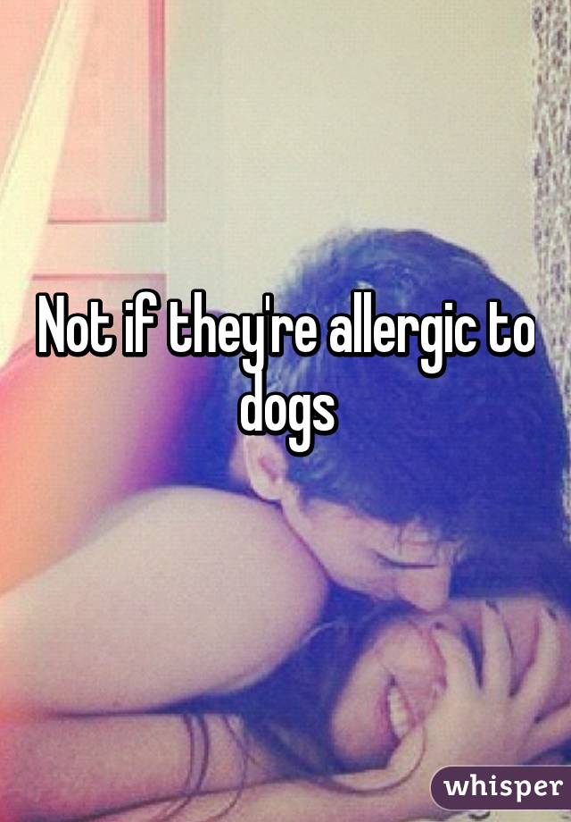 Not if they're allergic to dogs
