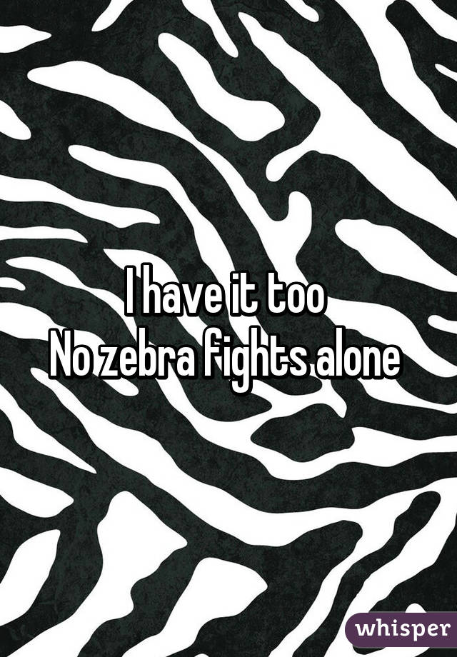 I have it too 
No zebra fights alone 