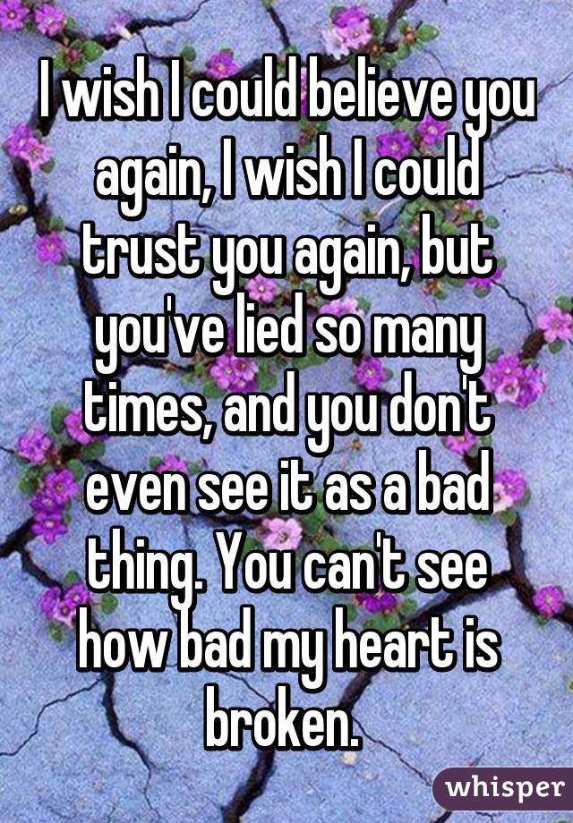 I wish I could believe you again, I wish I could trust you again, but you've lied so many times, and you don't even see it as a bad thing. You can't see how bad my heart is broken. 
