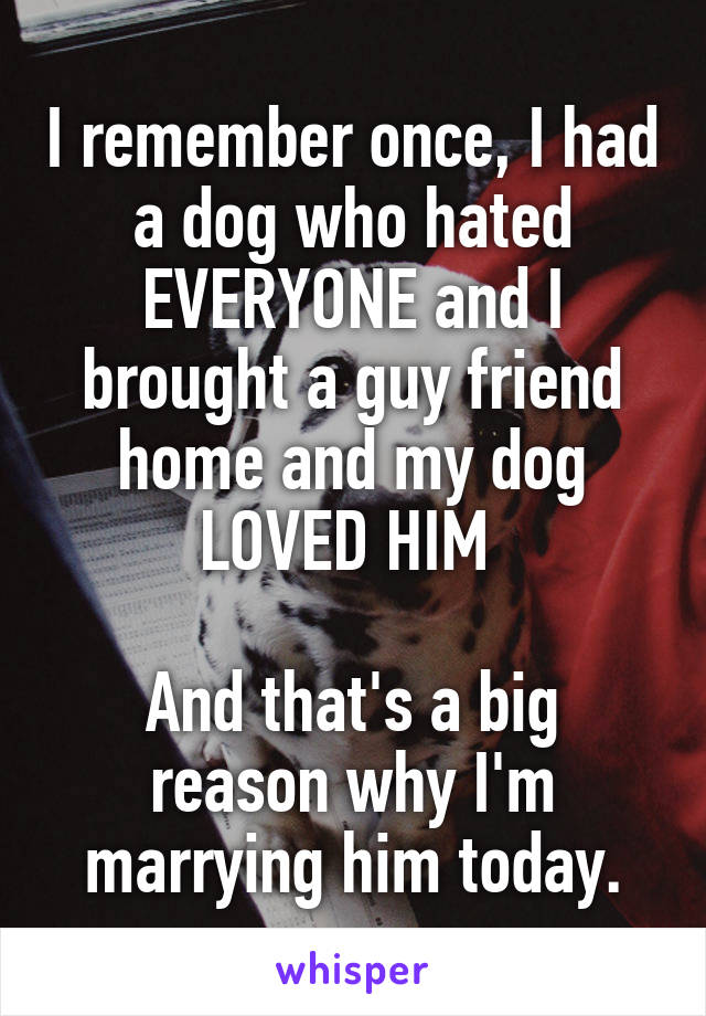 I remember once, I had a dog who hated EVERYONE and I brought a guy friend home and my dog LOVED HIM 

And that's a big reason why I'm marrying him today.