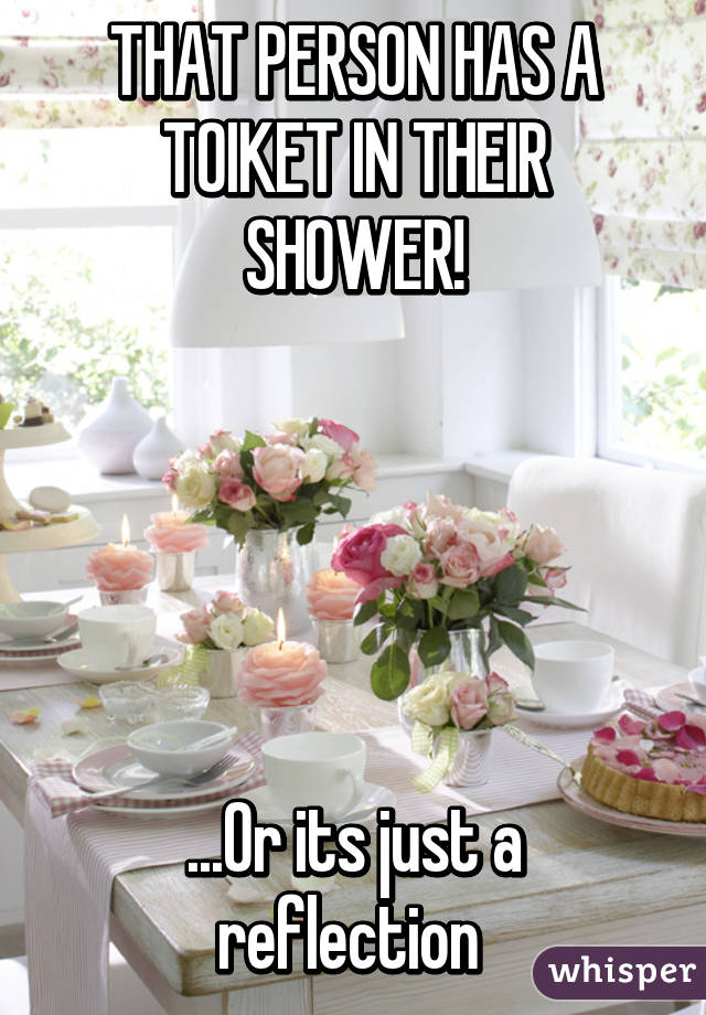 THAT PERSON HAS A TOIKET IN THEIR SHOWER!





...Or its just a reflection 