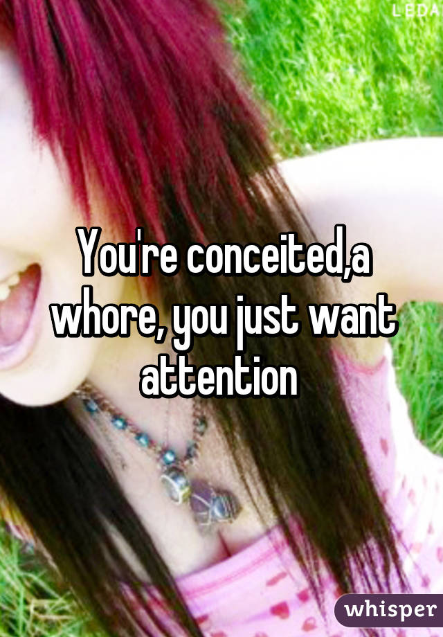 You're conceited,a whore, you just want attention 