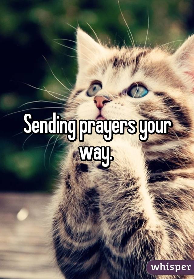 Sending prayers your way. 