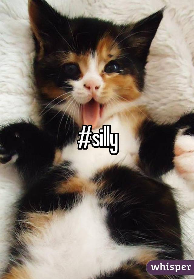 #silly