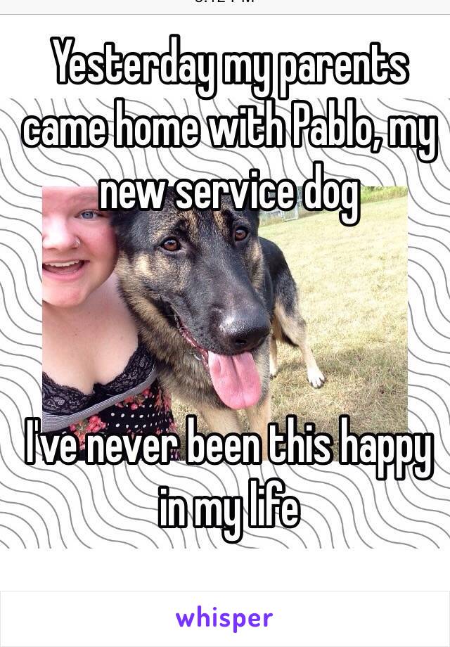 Yesterday my parents came home with Pablo, my new service dog



I've never been this happy in my life 