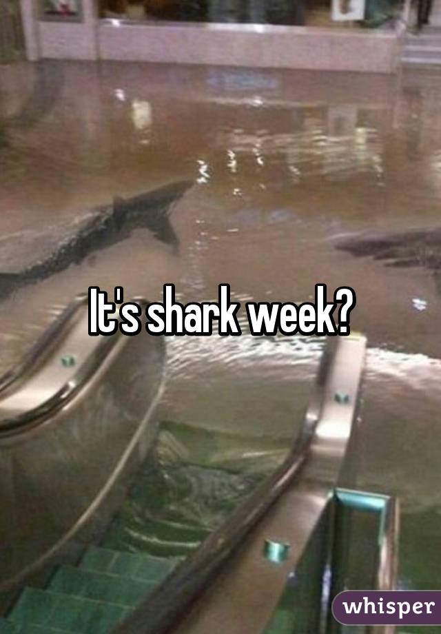 It's shark week?