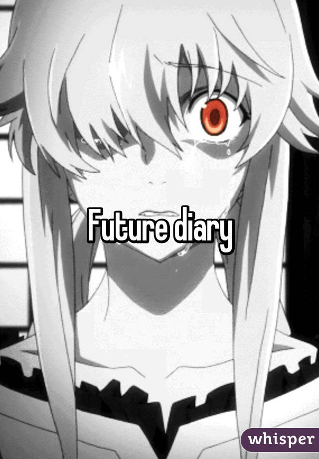 Future diary