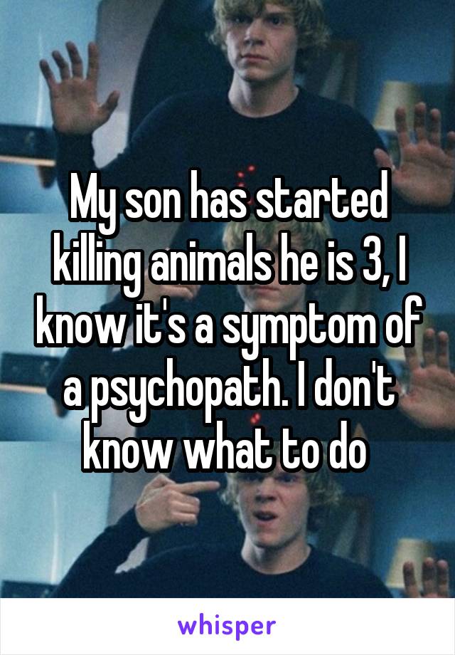 My son has started killing animals he is 3, I know it's a symptom of a psychopath. I don't know what to do 