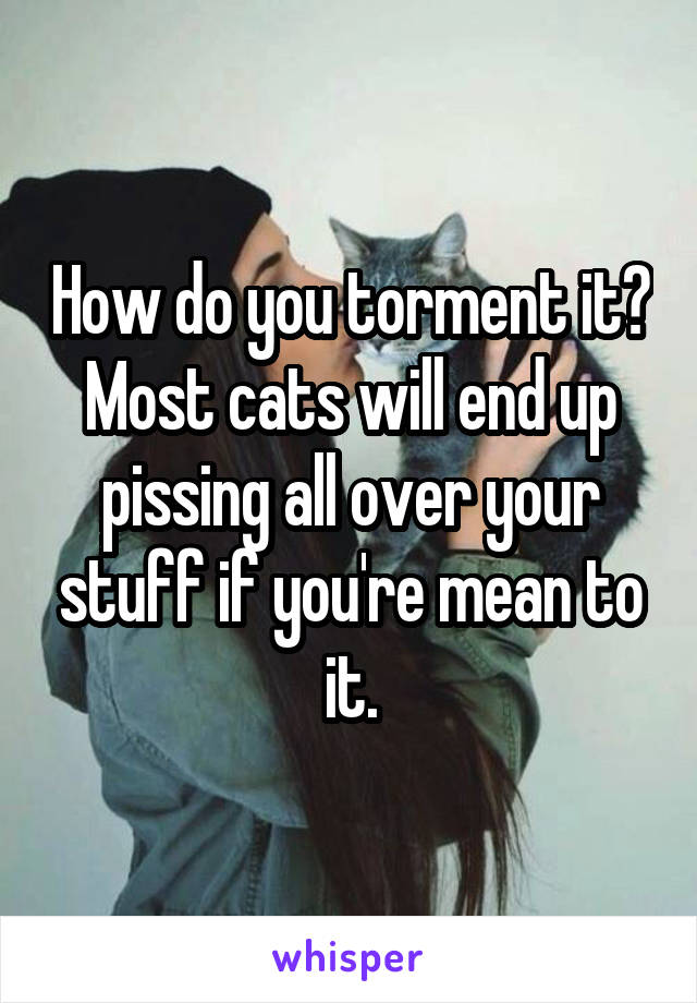 How do you torment it? Most cats will end up pissing all over your stuff if you're mean to it.