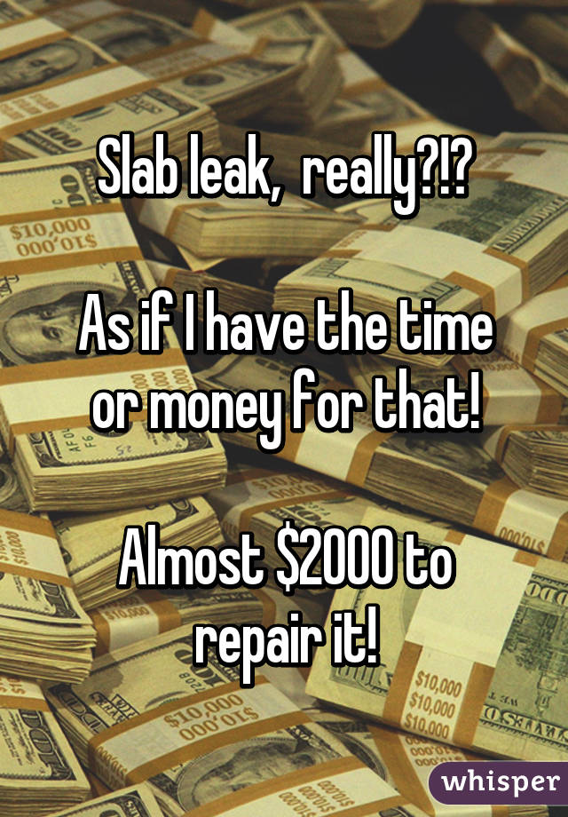 Slab leak,  really?!?

As if I have the time or money for that!

Almost $2000 to repair it!