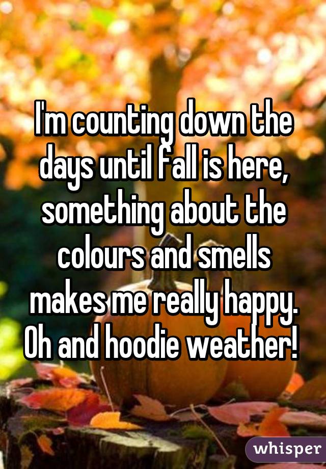 I'm counting down the days until fall is here, something about the colours and smells makes me really happy. Oh and hoodie weather! 