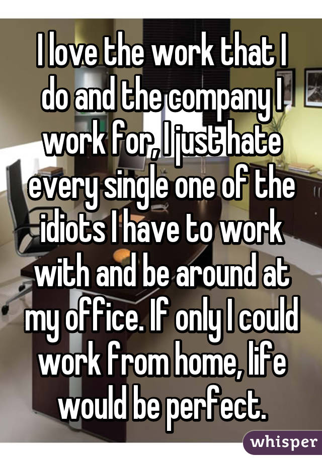 I love the work that I do and the company I work for, I just hate every single one of the idiots I have to work with and be around at my office. If only I could work from home, life would be perfect.