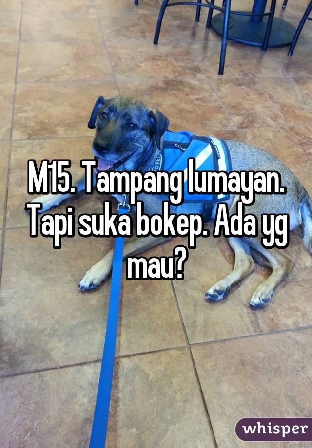 M15. Tampang lumayan. Tapi suka bokep. Ada yg mau?