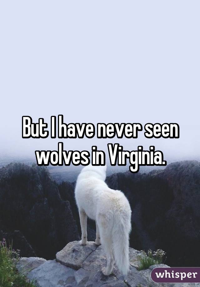 But I have never seen wolves in Virginia.