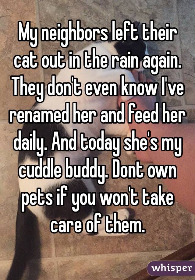 My neighbors left their cat out in the rain again. They don't even know I've renamed her and feed her daily. And today she's my cuddle buddy. Dont own pets if you won't take care of them. 