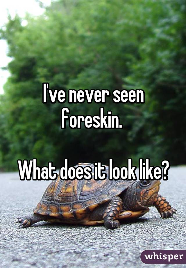 I've never seen foreskin. 

What does it look like?