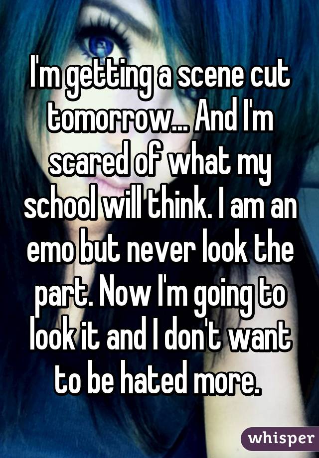 I'm getting a scene cut tomorrow... And I'm scared of what my school will think. I am an emo but never look the part. Now I'm going to look it and I don't want to be hated more. 