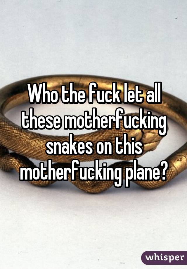 Who the fuck let all these motherfucking snakes on this motherfucking plane?