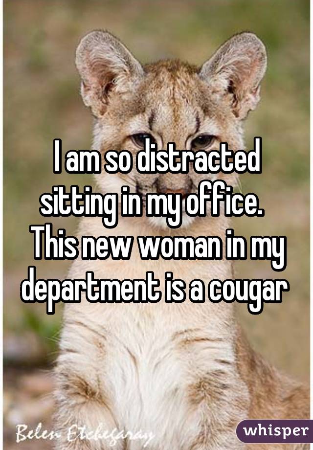 I am so distracted sitting in my office.   This new woman in my department is a cougar 