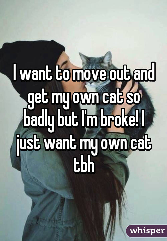 I want to move out and get my own cat so badly but I'm broke! I just want my own cat tbh