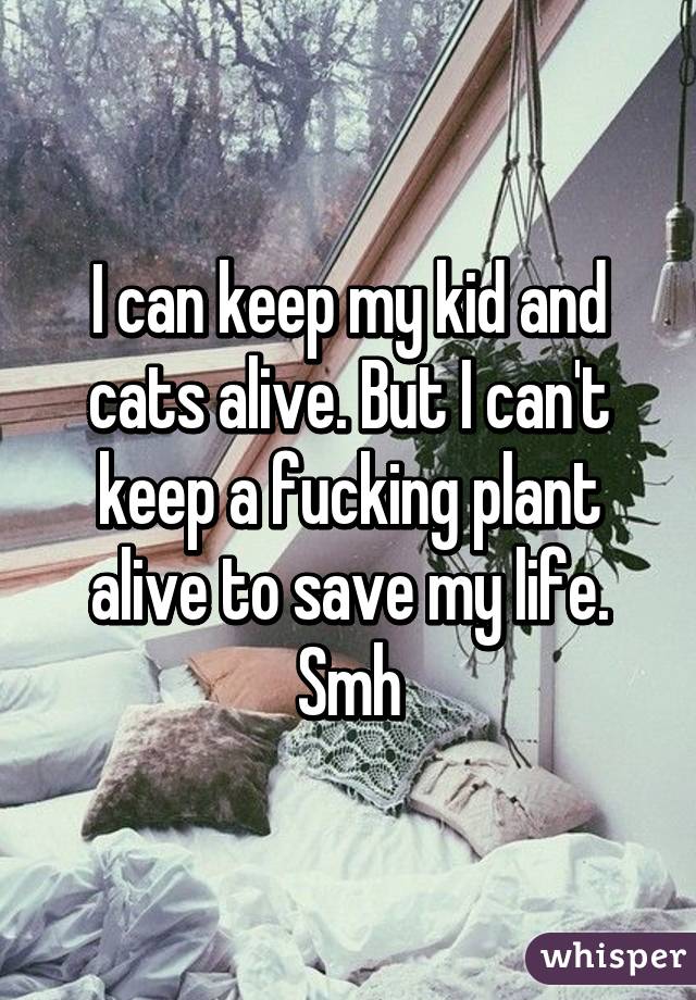 I can keep my kid and cats alive. But I can't keep a fucking plant alive to save my life. Smh