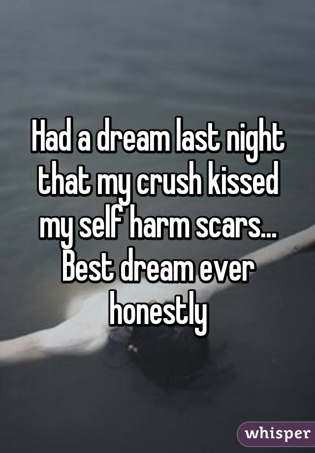 Had a dream last night that my crush kissed my self harm scars... Best dream ever honestly