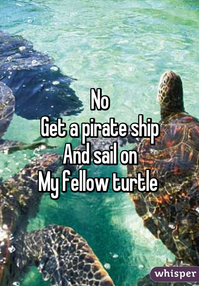 No
Get a pirate ship
And sail on
My fellow turtle 