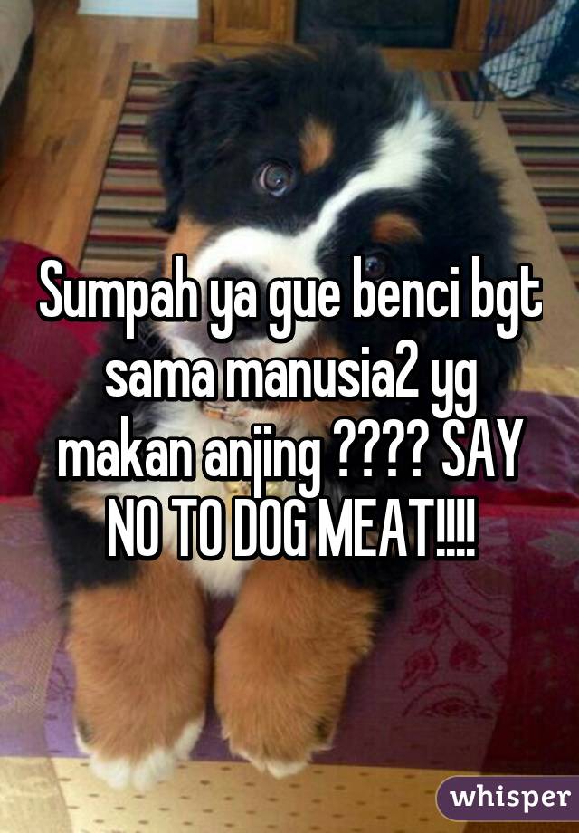 Sumpah ya gue benci bgt sama manusia2 yg makan anjing 😢😢😢😢 SAY NO TO DOG MEAT!!!!