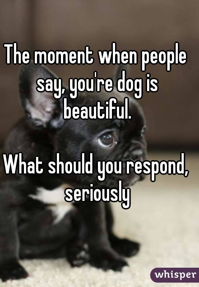 The moment when people say, you're dog is beautiful.

What should you respond, seriously