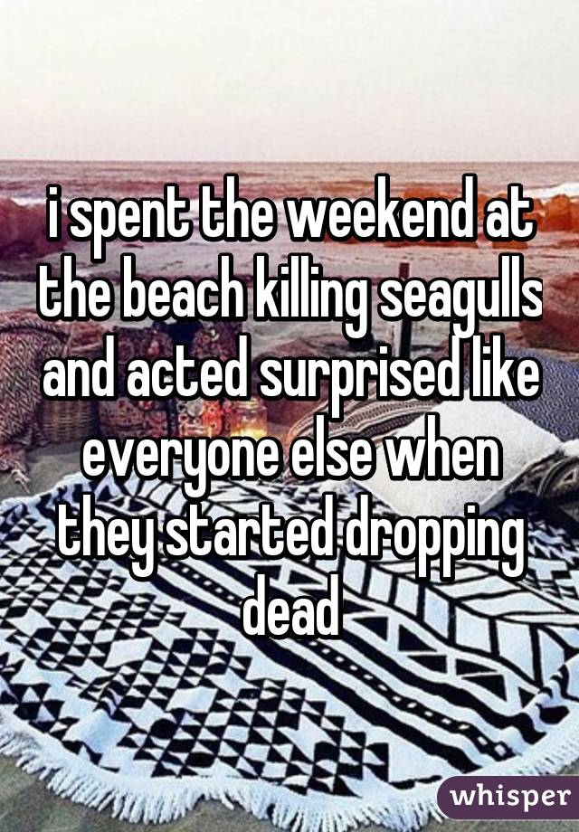 i spent the weekend at the beach killing seagulls and acted surprised like everyone else when they started dropping dead