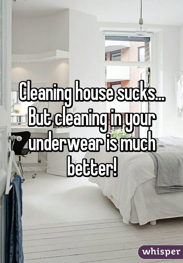 Cleaning house sucks... But cleaning in your underwear is much better!