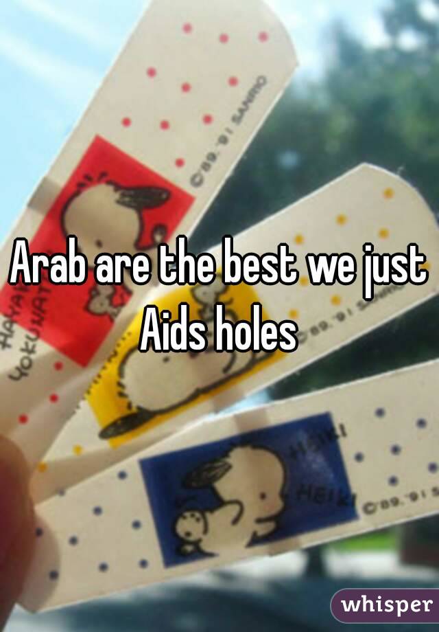 Arab are the best we just Aids holes 