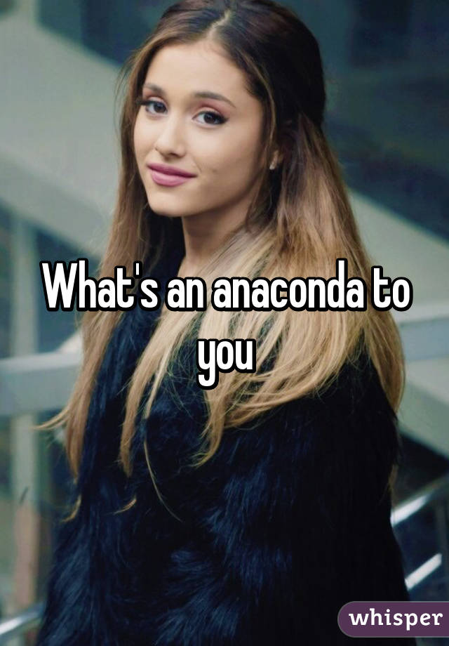 What's an anaconda to you