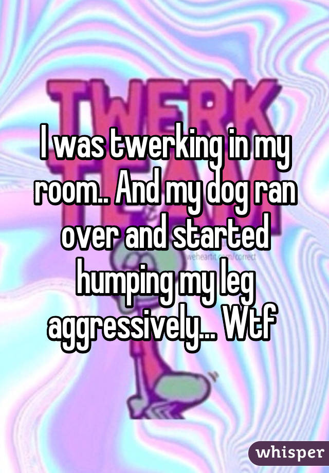 I was twerking in my room.. And my dog ran over and started humping my leg aggressively... Wtf 